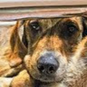 Meet your Posher, Charlotte